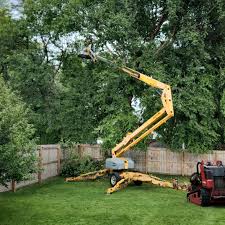 Mulching Services in Spanaway, WA